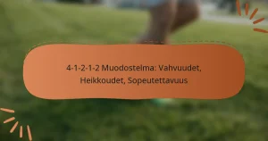 4-1-2-1-2 Muodostelma: Vahvuudet, Heikkoudet, Sopeutettavuus